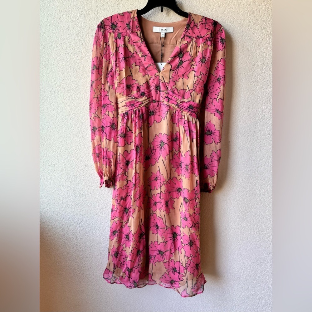 Joie Dress XS